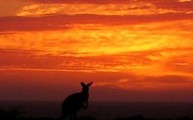 Gnaraloo Station - Homestead
